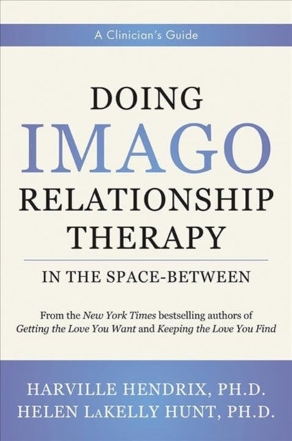 Doing Imago Relationship Therapy in the Space-Between - A Clinician's Guide