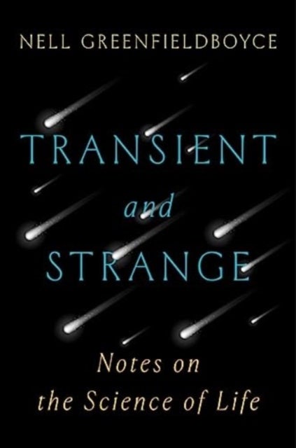 Transient and Strange - Notes on the Science of Life