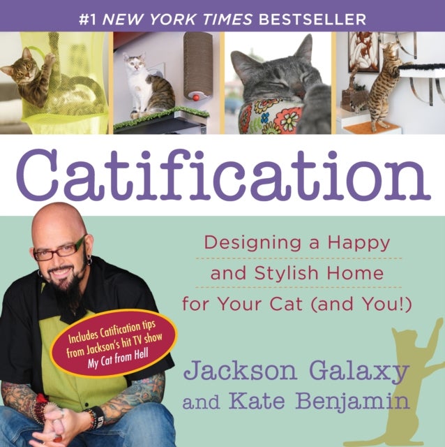 Catification - Designing a Happy and Stylish Home for Your Cat (and You!)