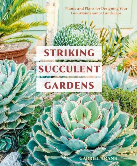 Striking Succulent Gardens - Plants and Plans for Designing Your Low-Maintenance Landscape