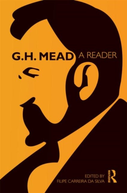 G.H. Mead - A Reader