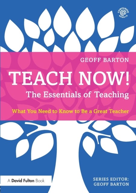 Teach Now! The Essentials of Teaching - What You Need to Know to Be a Great Teacher