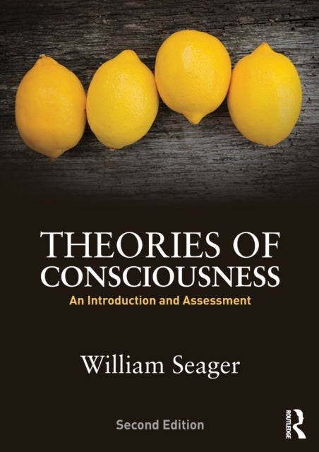 Theories of Consciousness - An Introduction and Assessment