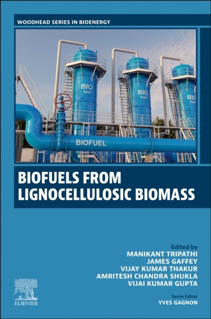 Biofuels from Lignocellulosic Materials - Volume 2: Biofuels