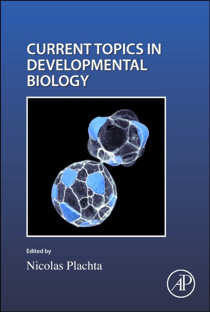 Cell Shape and Position during Development