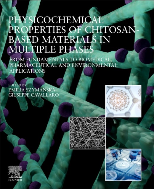 Physicochemical Properties of Chitosan-Based Materials in Multiple Phases - From Fundamentals to Biomedical, Pharmaceutical and Environmental Applications