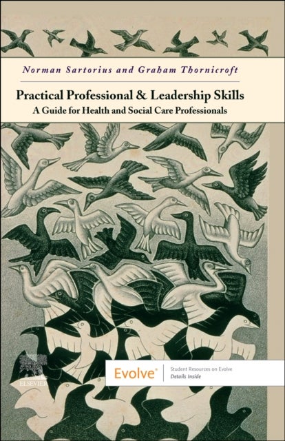 Practical Professional and Leadership Skills: A Guide for Health and Social Care Professionals - A Guide for Health and Social Care Professionals