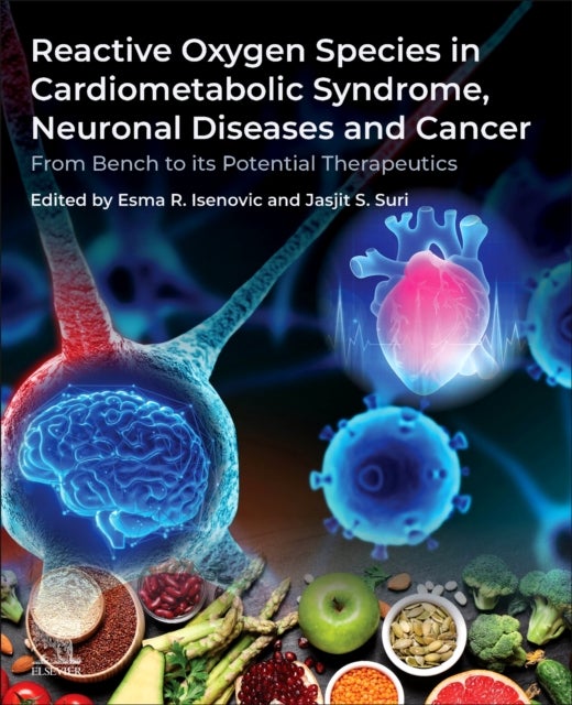Reactive Oxygen Species in Cardiometabolic Syndrome, Neuronal Diseases and Cancer - From Bench to its Potential Therapeutics