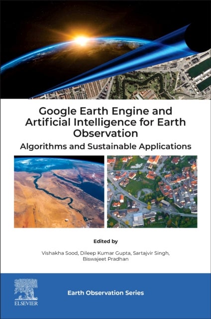 Google Earth Engine and Artificial Intelligence for Earth Observation - Algorithms and Sustainable Applications