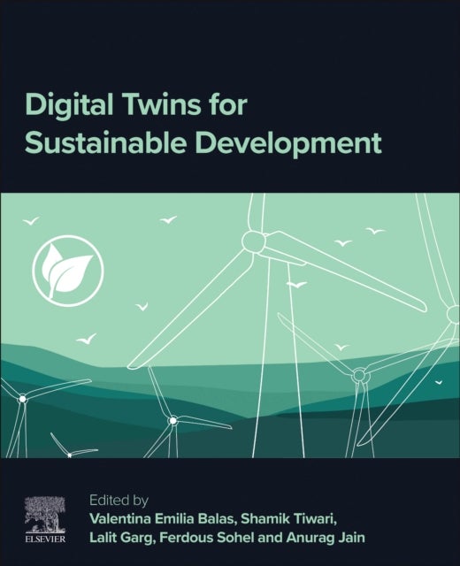 Digital Twins for Sustainable Development