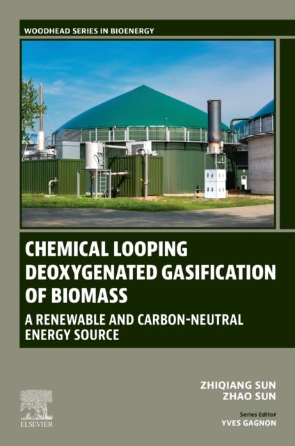 Chemical Looping Deoxygenated Gasification of Biomass - A Renewable and Carbon-Neutral Energy Source