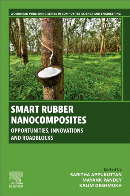 Smart Rubber Nanocomposites - Opportunities, Innovations and Roadblocks
