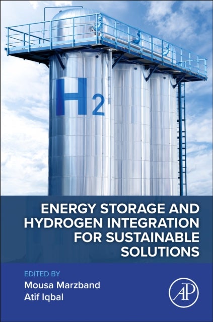 Energy Storage and Hydrogen Integration for Sustainable Solutions