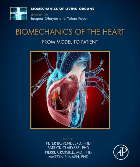 Biomechanics of the Heart - From Model to Patient
