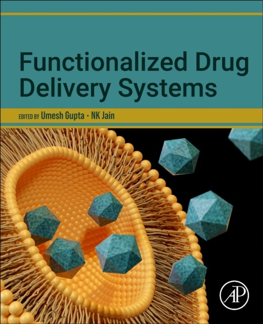Functionalized Drug Delivery Systems