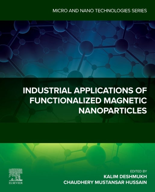 Industrial Applications of Functionalized Magnetic Nanoparticles