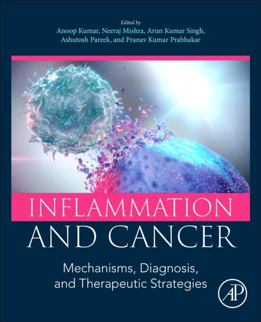 Inflammation and Cancer - Mechanisms, Diagnosis, and Therapeutic Strategies