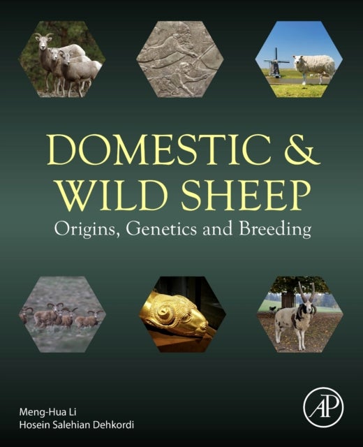 Domestic and Wild Sheep - Origins, Genetics and Breeding