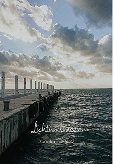 Lichtundmeer - Goldene Grashalme in der Abendsonne