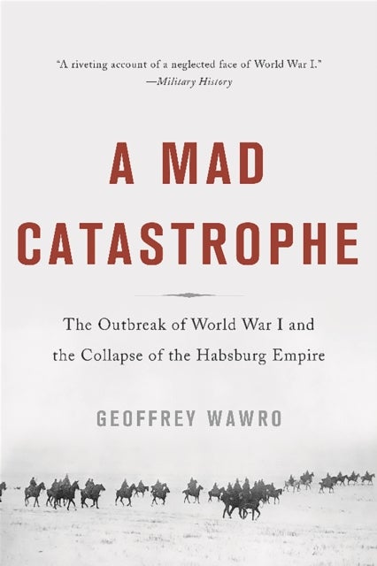 A Mad Catastrophe - The Outbreak of World War I and the Collapse of the Habsburg Empire