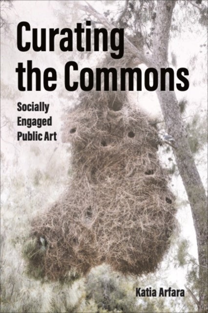 Curating the Commons - Socially Engaged Public Art