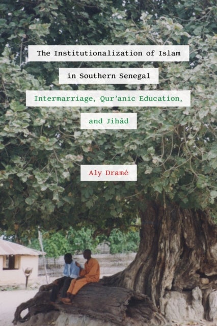 The Institutionalization of Islam in Southern Senegal - Intermarriage, Qur'anic Education, and Jihad
