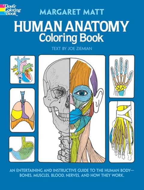 Human Anatomy - Coloring Book