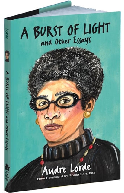 A Burst of Light - and Other Essays