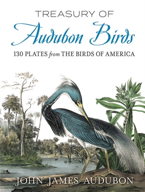 Treasury of Audubon Birds - 130 Plates from the Birds of America