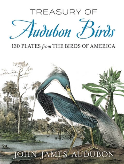 Treasury of Audubon Birds - 130 Plates from the Birds of America