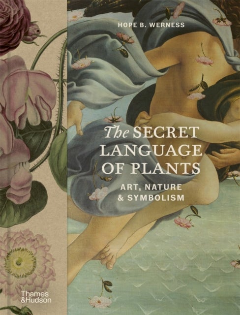 The Secret Language of Plants - Art, Nature & Symbolism