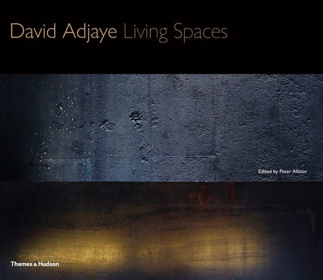 David Adjaye - Living Spaces