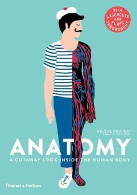 Anatomy - A Cutaway Look Inside the Human Body