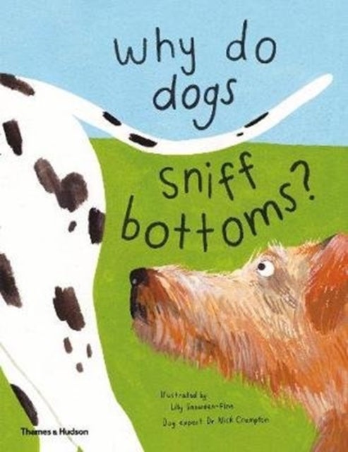 Why do dogs sniff bottoms? - Curious questions about your favourite pet