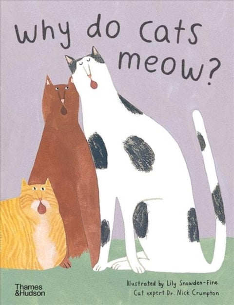 Why do cats meow? - Curious Questions about Your Favourite Pet