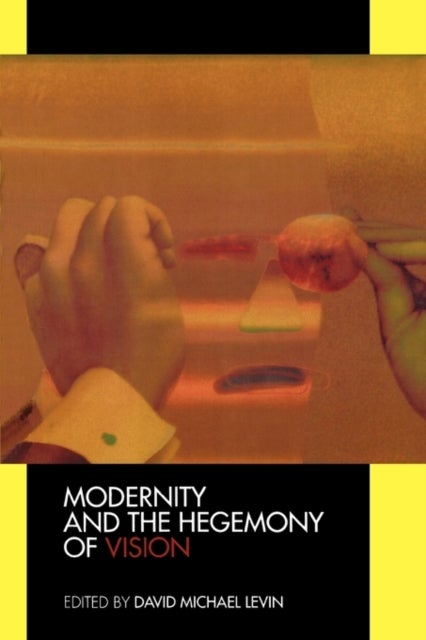 Modernity and the Hegemony of Vision