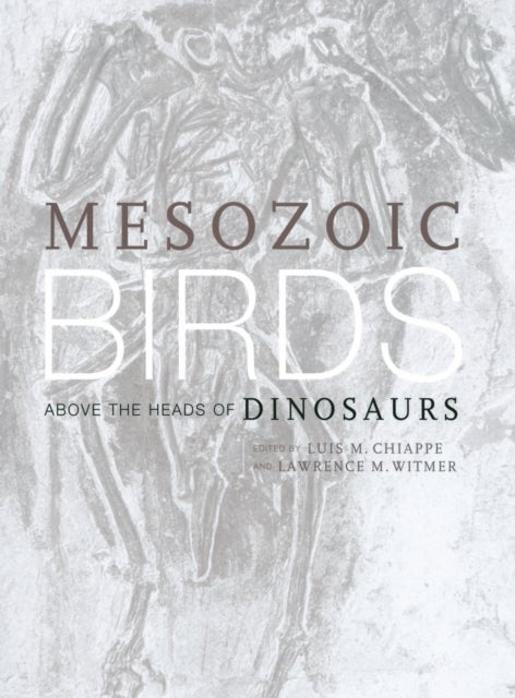 Mesozoic Birds - Above the Heads of Dinosaurs