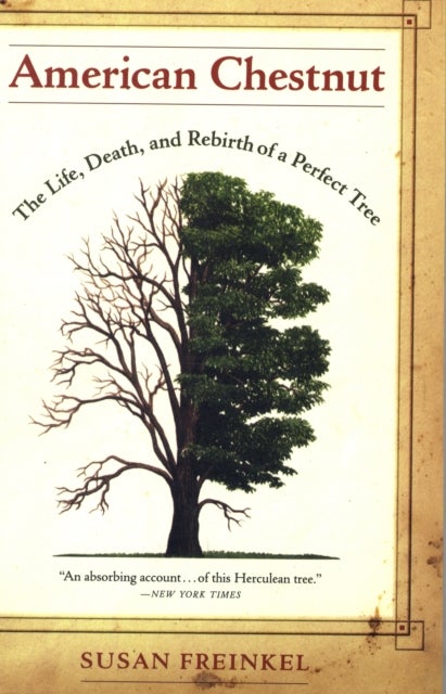 American Chestnut - The Life, Death, and Rebirth of a Perfect Tree