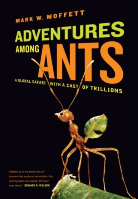 Adventures among Ants - A Global Safari with a Cast of Trillions