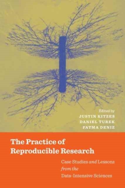 The Practice of Reproducible Research - Case Studies and Lessons from the Data-Intensive Sciences