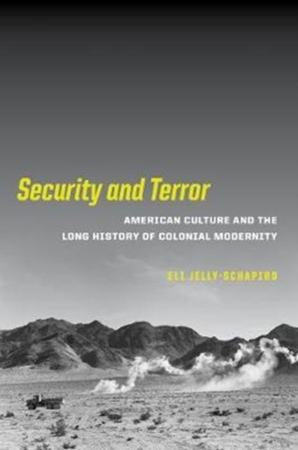 Security and Terror - American Culture and the Long History of Colonial Modernity