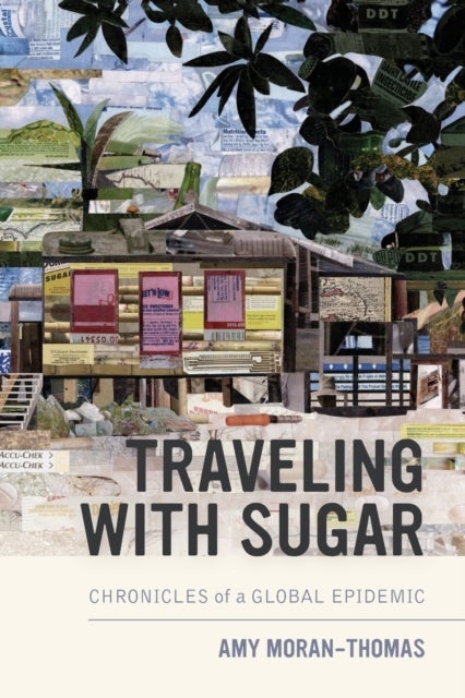 Traveling with Sugar - Chronicles of a Global Epidemic