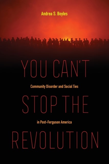 You Can't Stop the Revolution - Community Disorder and Social Ties in Post-Ferguson America