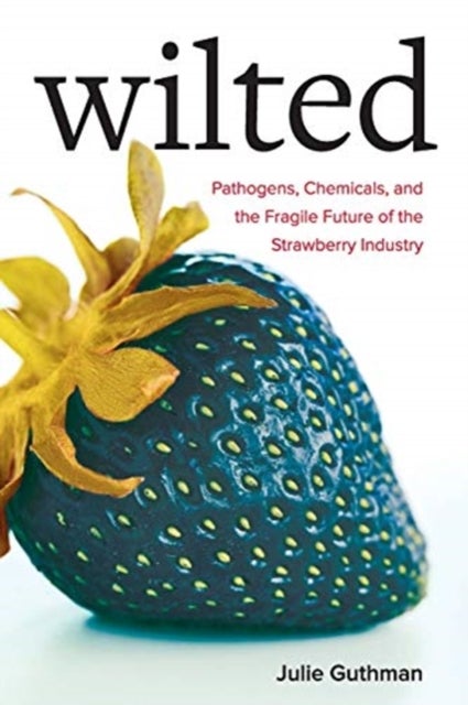 Wilted - Pathogens, Chemicals, and the Fragile Future of the Strawberry Industry