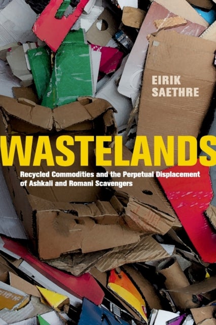 Wastelands - Recycled Commodities and the Perpetual Displacement of Ashkali and Romani Scavengers