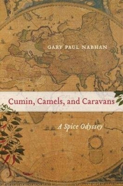 Cumin, Camels, and Caravans - A Spice Odyssey