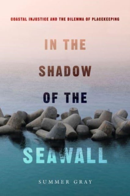 In the Shadow of the Seawall - Coastal Injustice and the Dilemma of Placekeeping