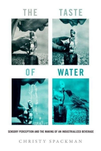 The Taste of Water - Sensory Perception and the Making of an Industrialized Beverage