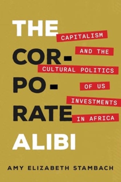 The Corporate Alibi - Capitalism and the Cultural Politics of US Investments in Africa