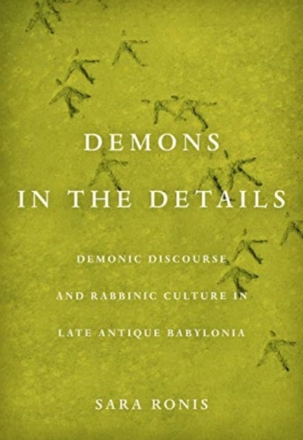 Demons in the Details - Demonic Discourse and Rabbinic Culture in Late Antique Babylonia